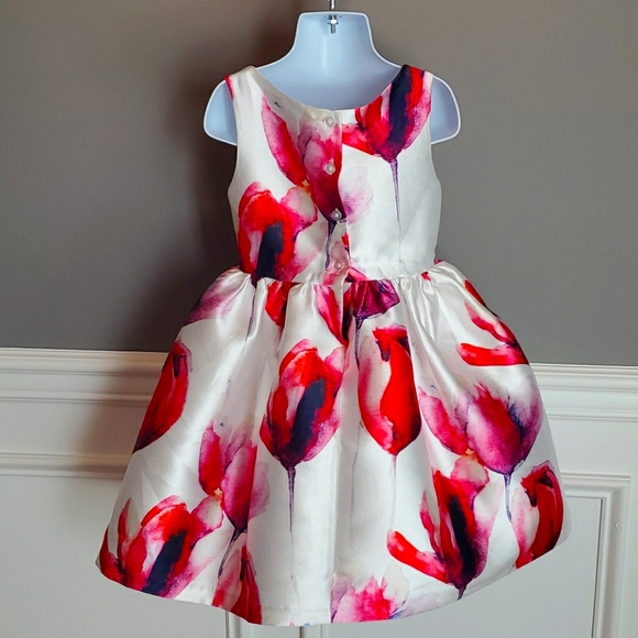 Frais Flower Dress Size 5 - Picture 4 of 8